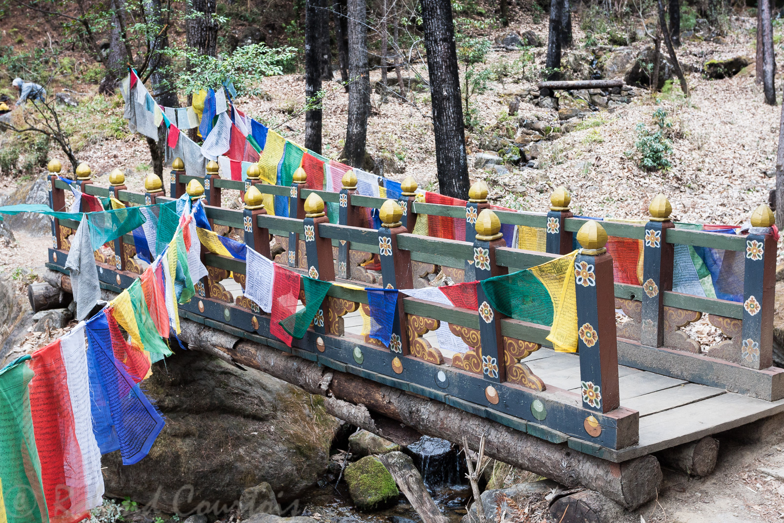 La montée vers le monastère de Taktsang est marquée par une multitude de drapeaux de prières.