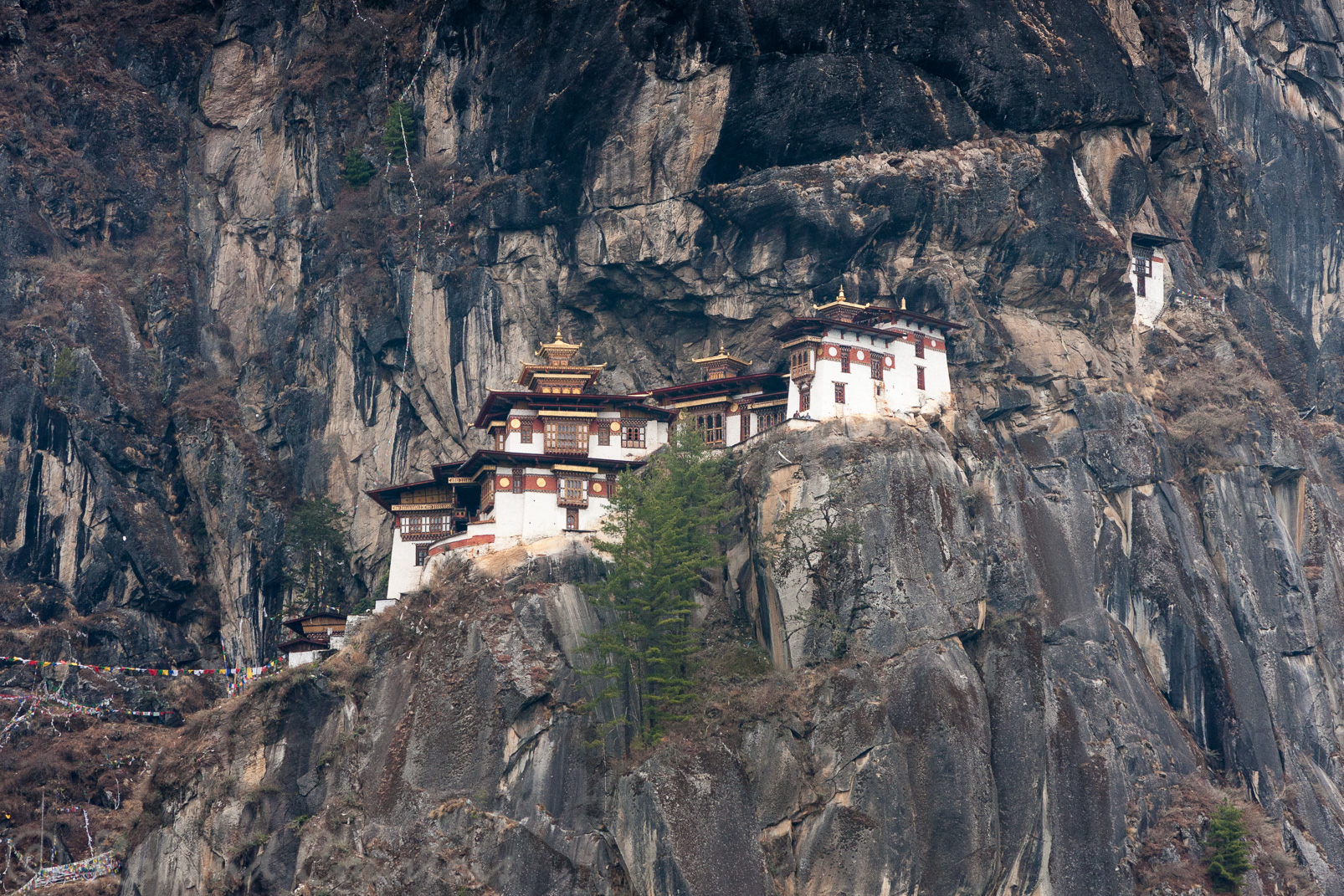 Le Tanktsang est accroché à la roche noire à 2950 m d’altitude, il surplombe la vallée d’une hauteur de 800 mètres.