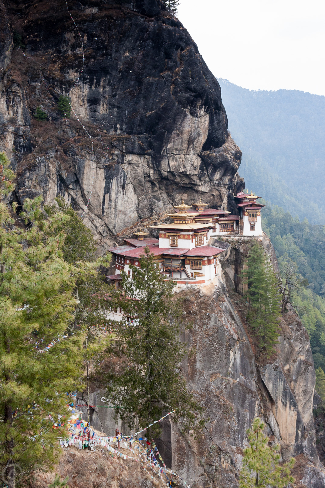 Le Tanktsang est accroché à la roche noire à 2950 m d’altitude, il surplombe la vallée d’une hauteur de 800 mètres.