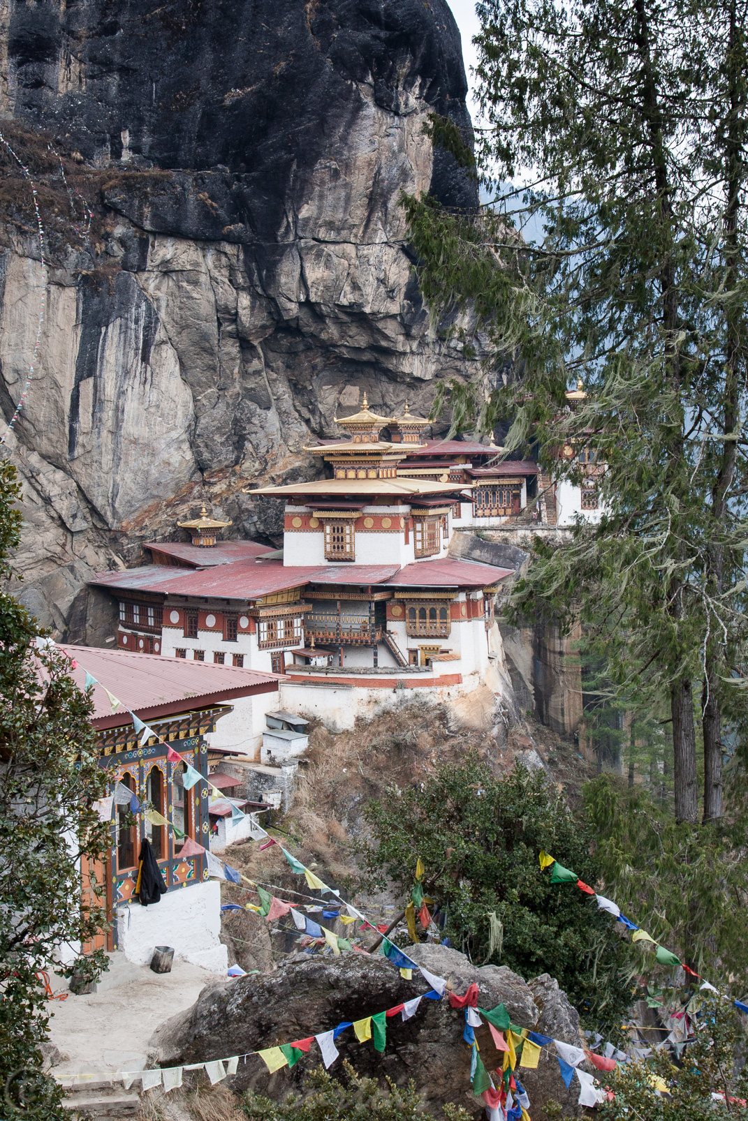 Le Tanktsang est accroché à la roche noire à 2950 m d’altitude, il surplombe la vallée d’une hauteur de 800 mètres.