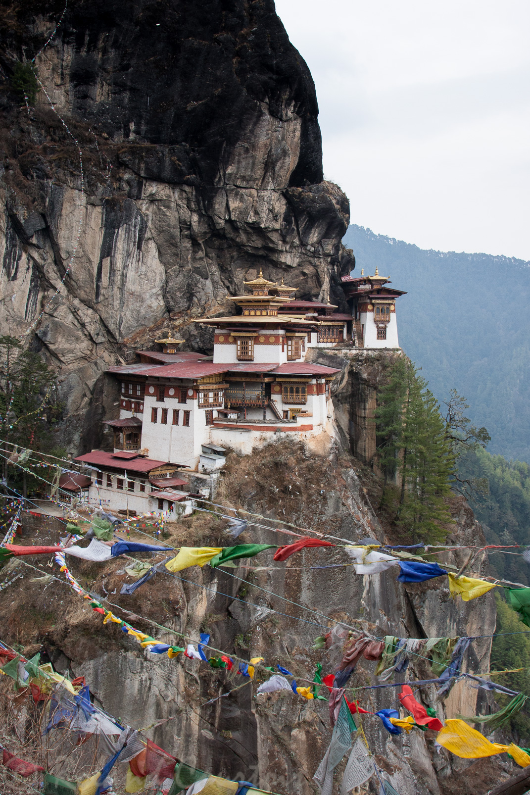 Le Tanktsang est accroché à la roche noire à 2950 m d’altitude, il surplombe la vallée d’une hauteur de 800 mètres.