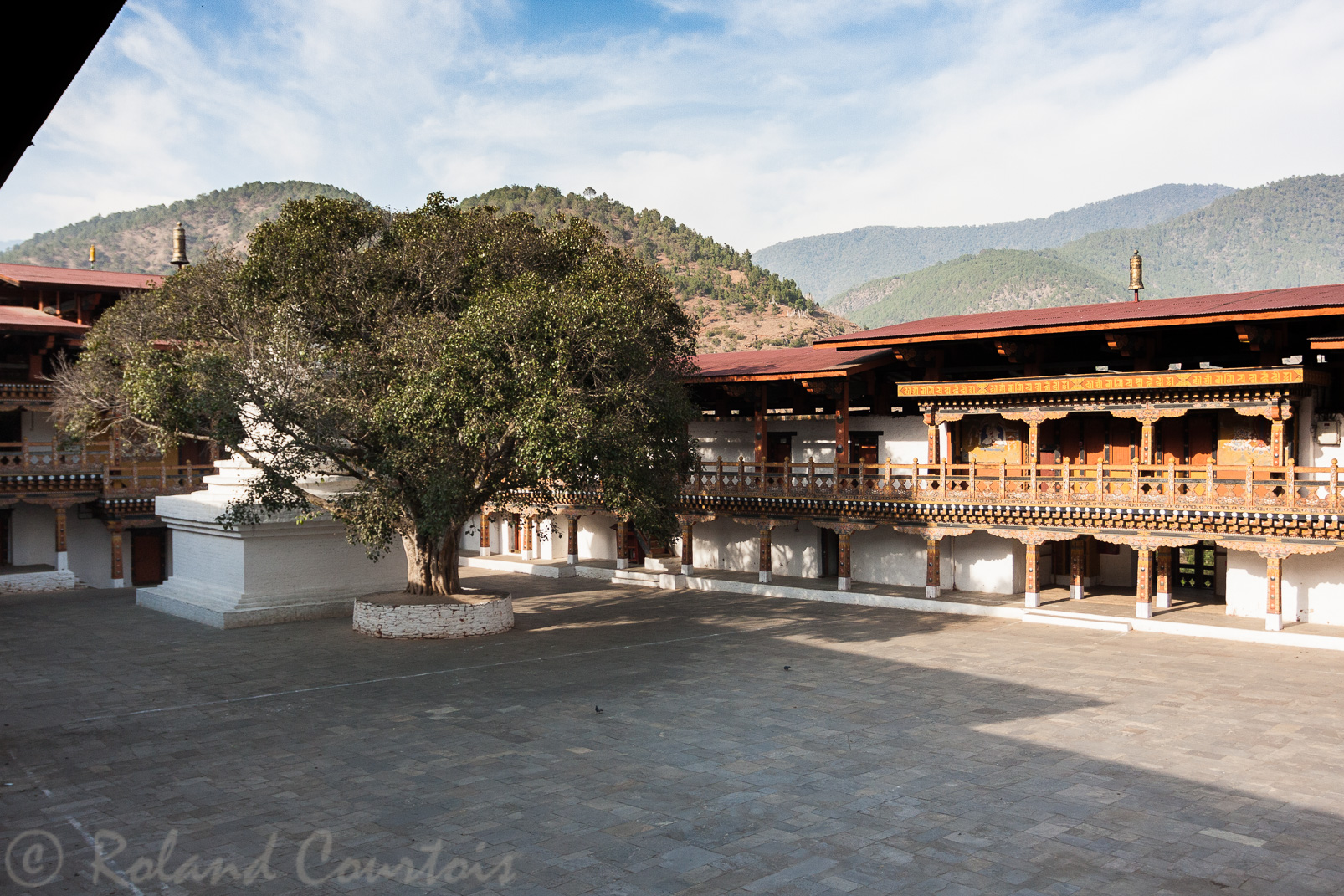A l'intérieur du Dzong de Punakha, l'arbre de la Bodhi symbolise pour les bouddhistes la connaissance salvatrice qui délivre l'être de ses illusions.