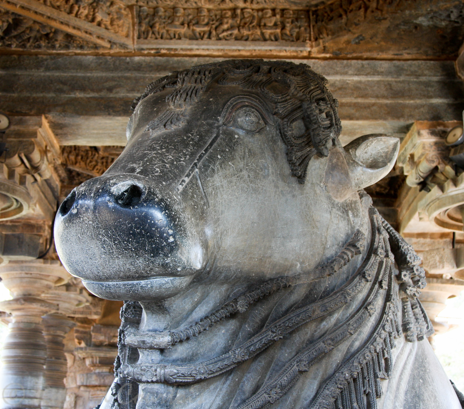 Halebid, temple de Hoysaleswara: Nandi, véhicule de Shiva.