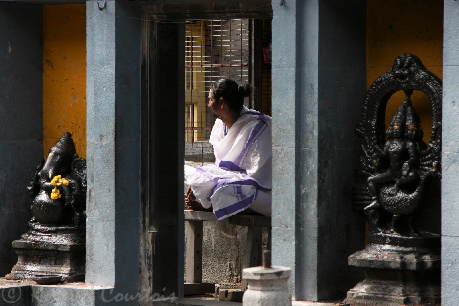 Temple d'Ekambareshvara. Prêtre devant le sanctuaire adossé au manguier sacré