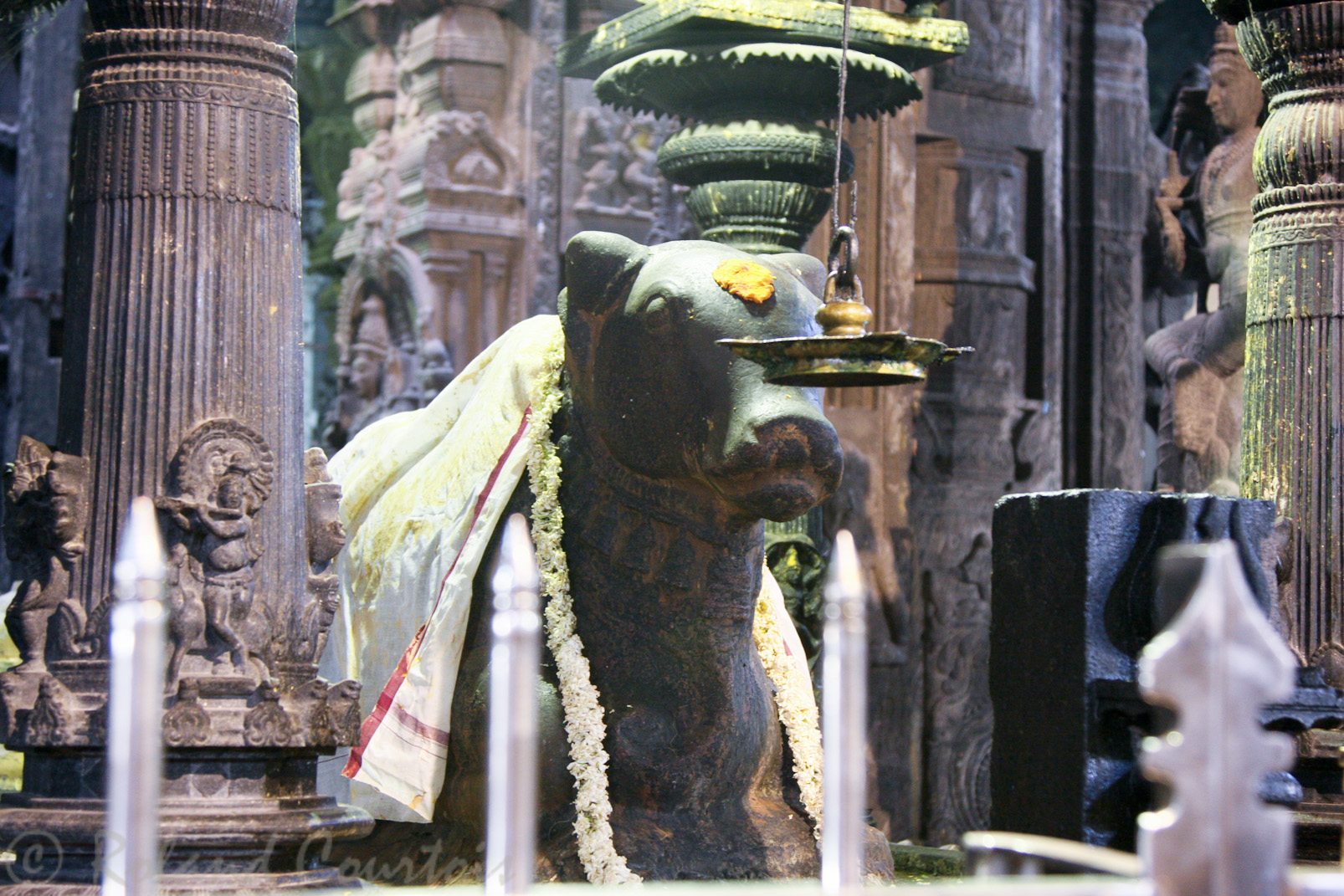 Temple de Minakshi: Nandi, véhicule de Shiva.