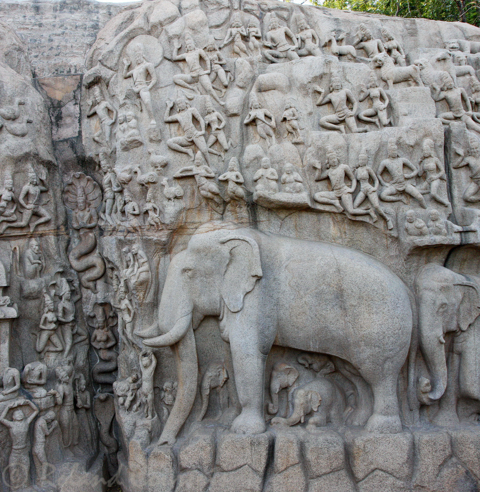 Descente du Gange: un défilé d'éléphants