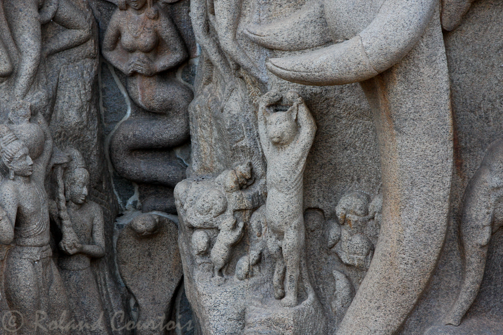 Descente du Gange: sous les défenses de l'éléphant, un chat, en position de jogi, pour la plus grande joie des souris et des rats qui gambadent autour de lui.