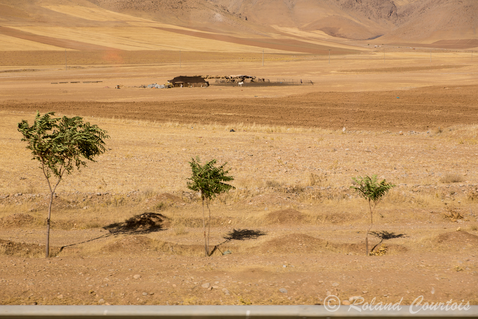 Paysages arides de la région d'Hamedan à environ 1500 m. d'altitude.