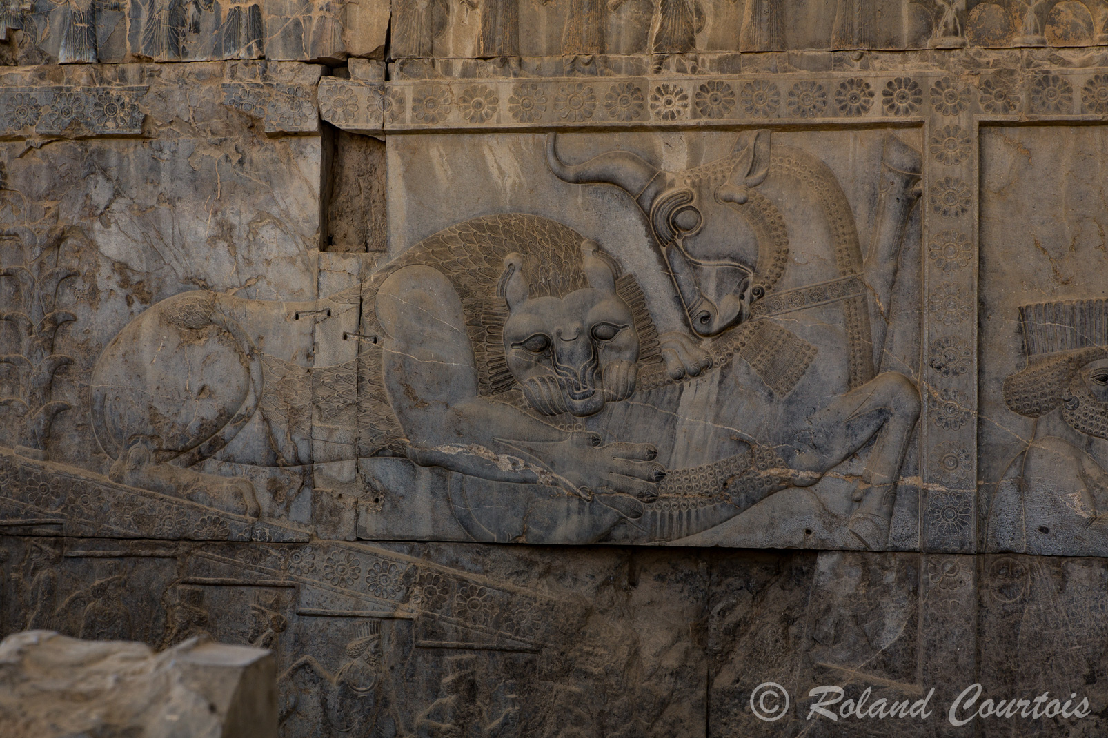 Persepolis :  Frise des Tributaires. Aux extrémités de la frise, un motif fréquent à Persépolis, un lion attaque un taureau (début de l’année ou victoire du roi sur le mal)