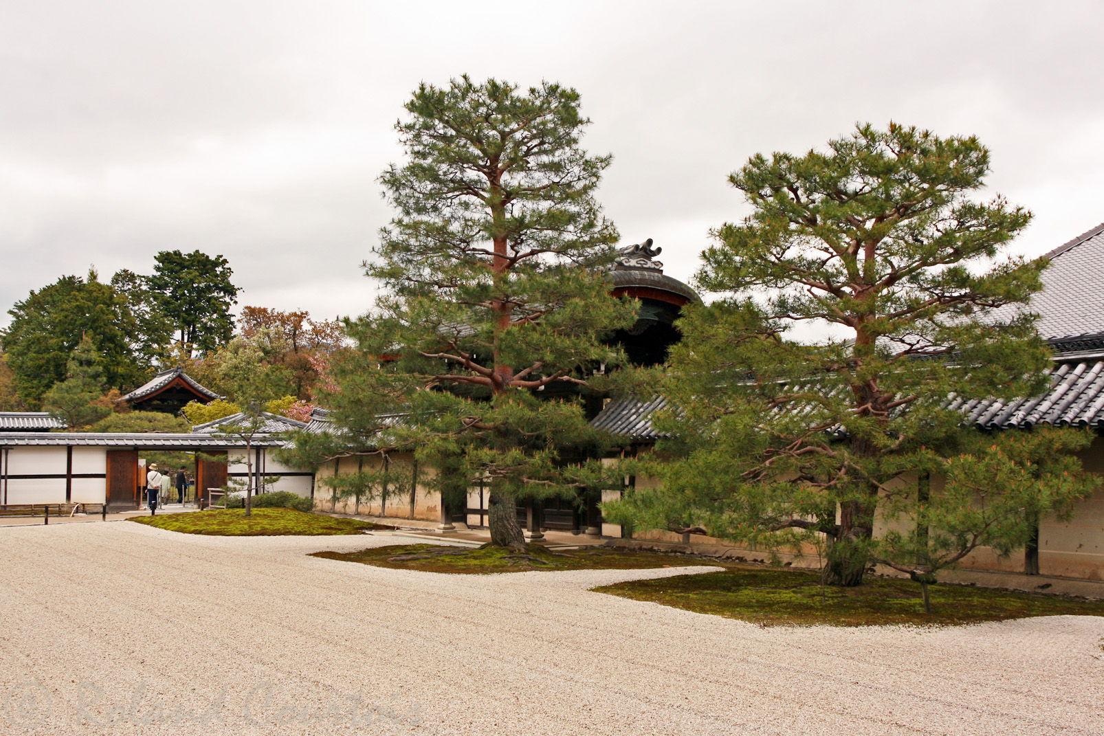 Jardin sec du temple zen Tenryu-ji au printemps.