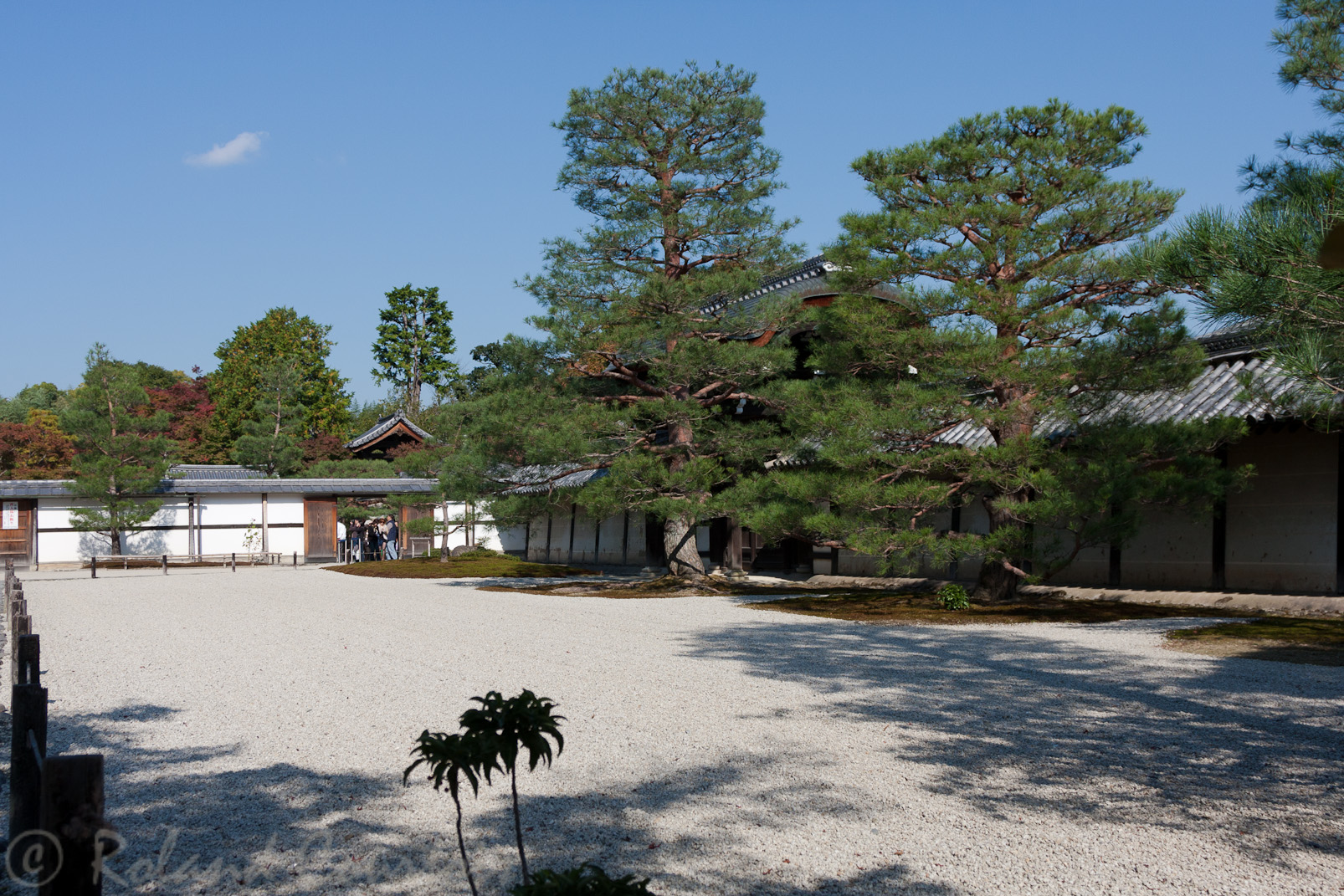 Jardin sec du temple zen Tenryu-ji à l'automne