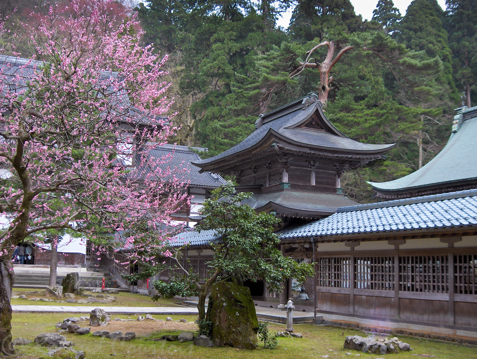 Eiheiji, temple zen de l'école Soto.
