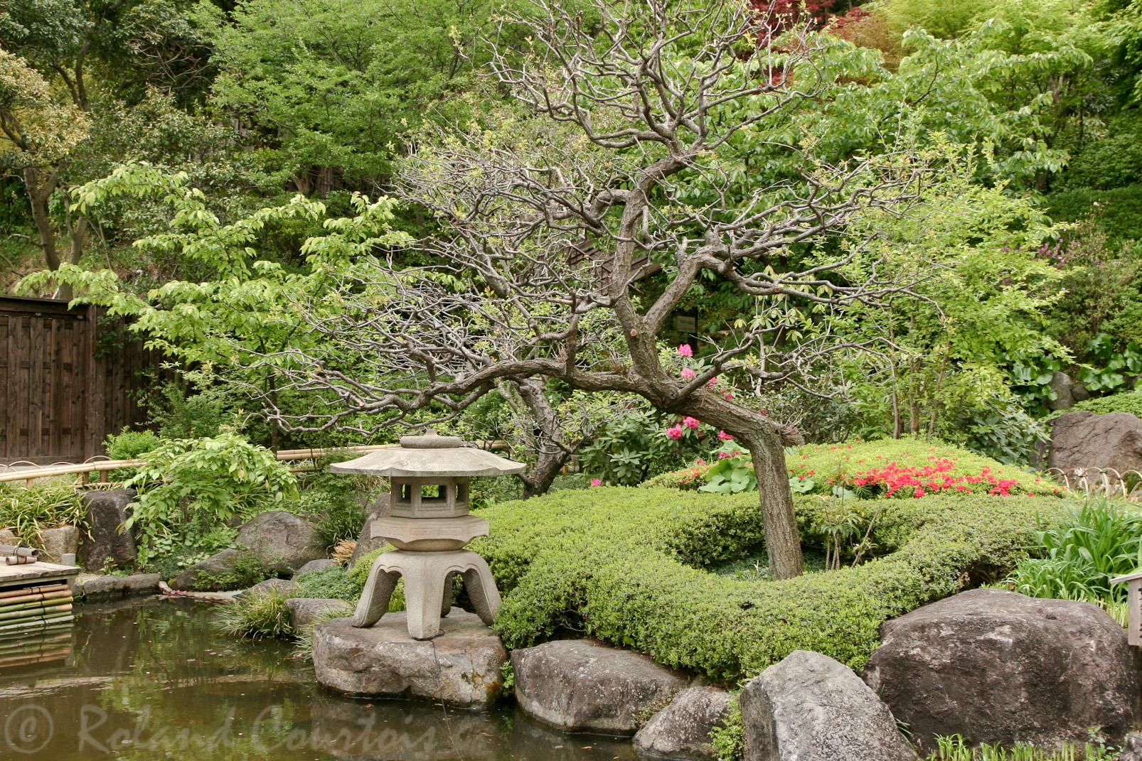 Jardin du temple Hase-dera.