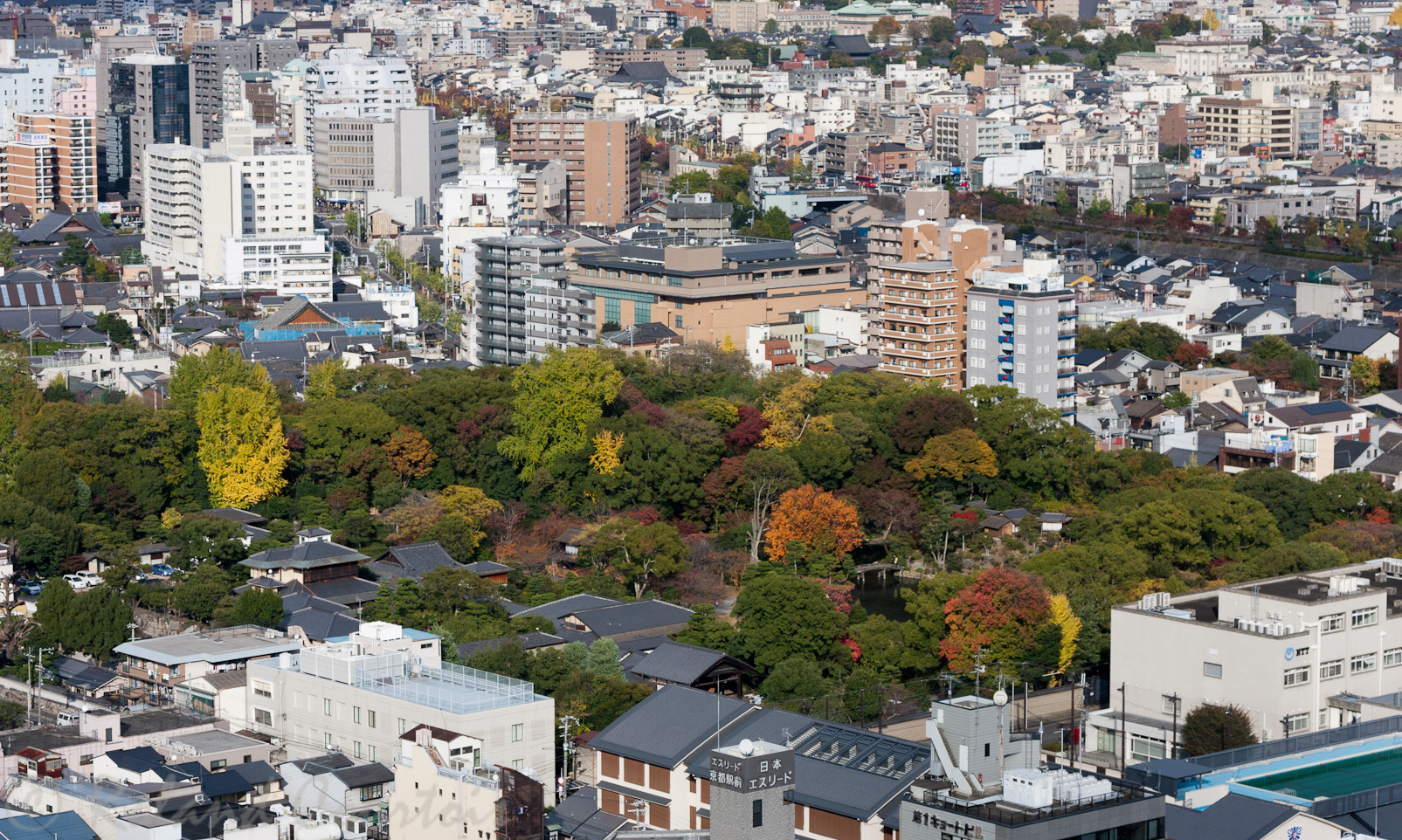 Vue de Kyoto du haut de la Tour.