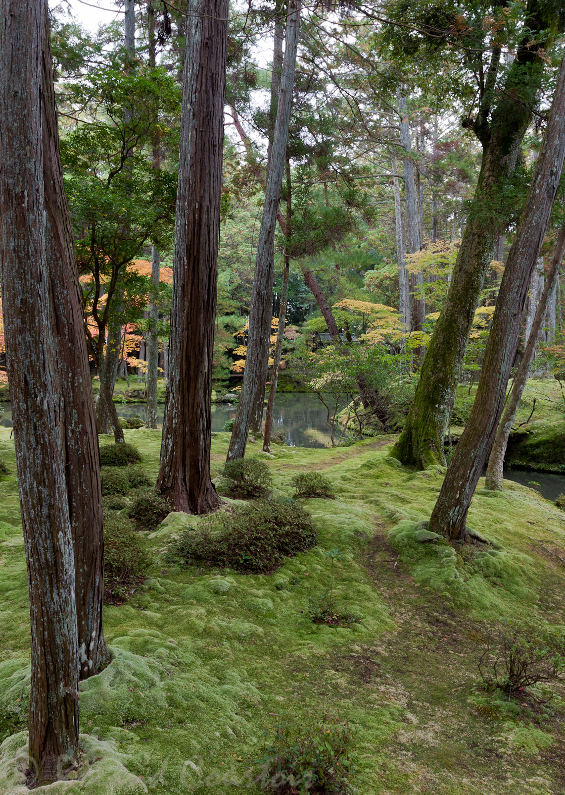 Jardin du temple des mousses, Saiho-ji.