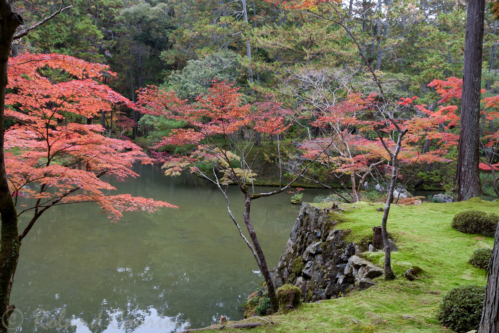 Jardin du temple des mousses, Saiho-ji.