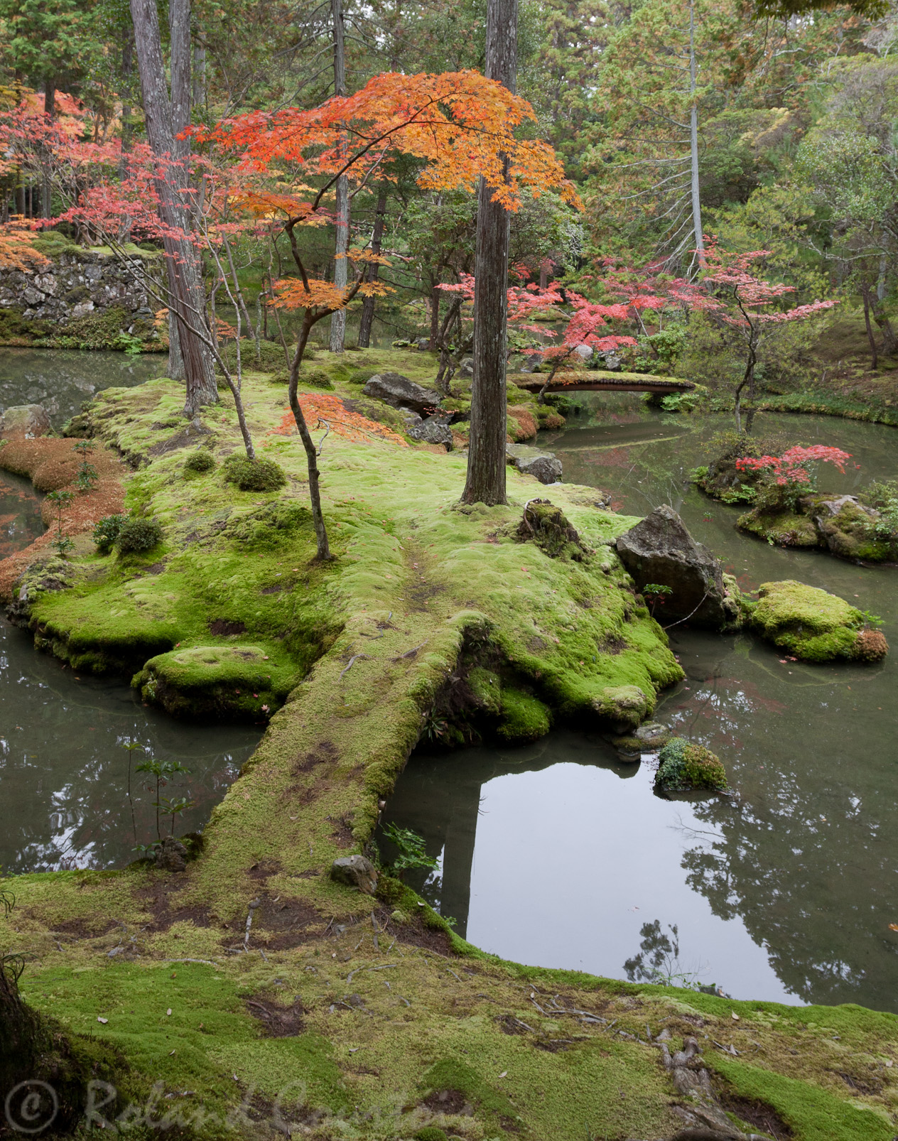 Jardin du temple des mousses, Saiho-ji.