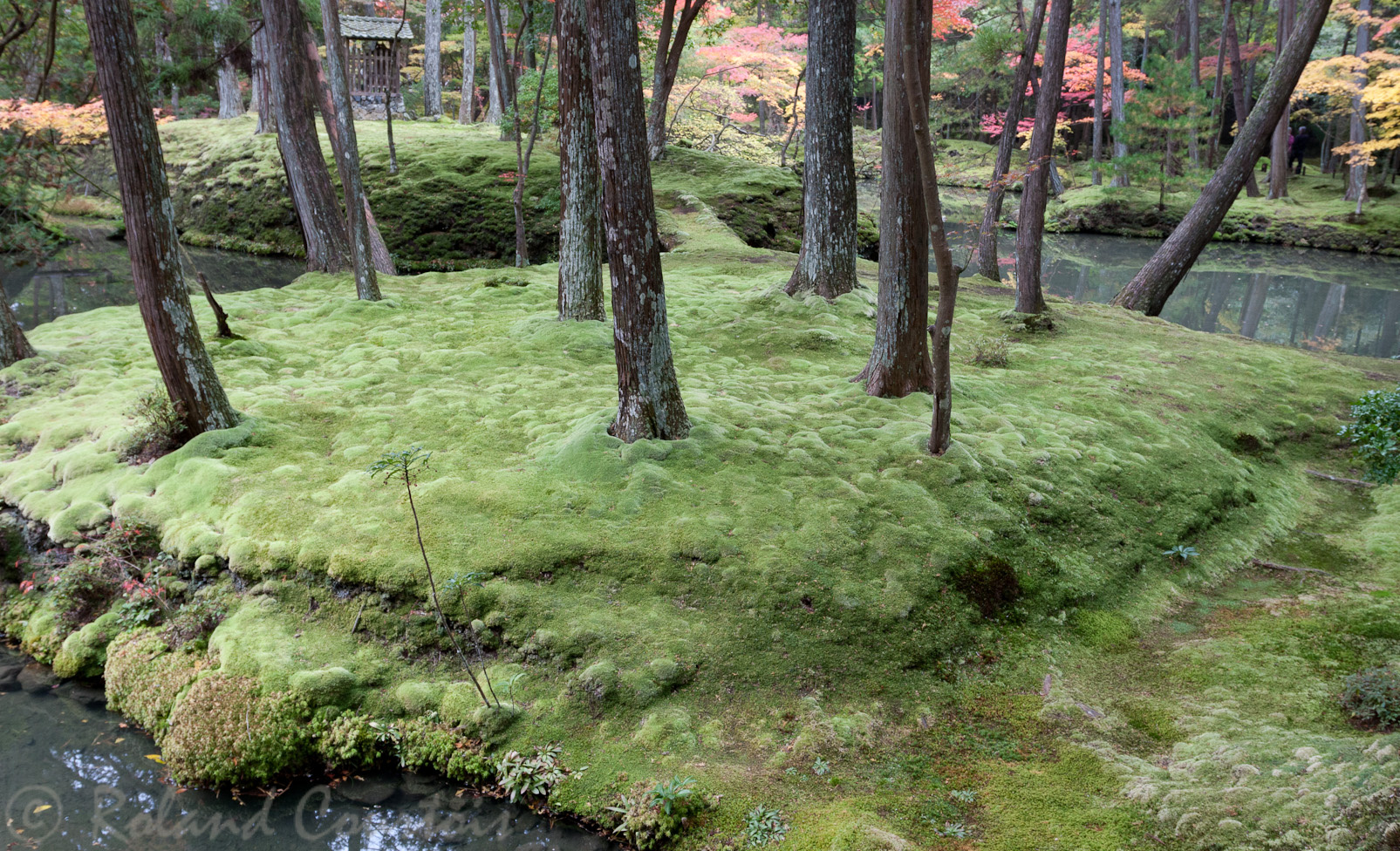 Jardin du temple des mousses, Saiho-ji.