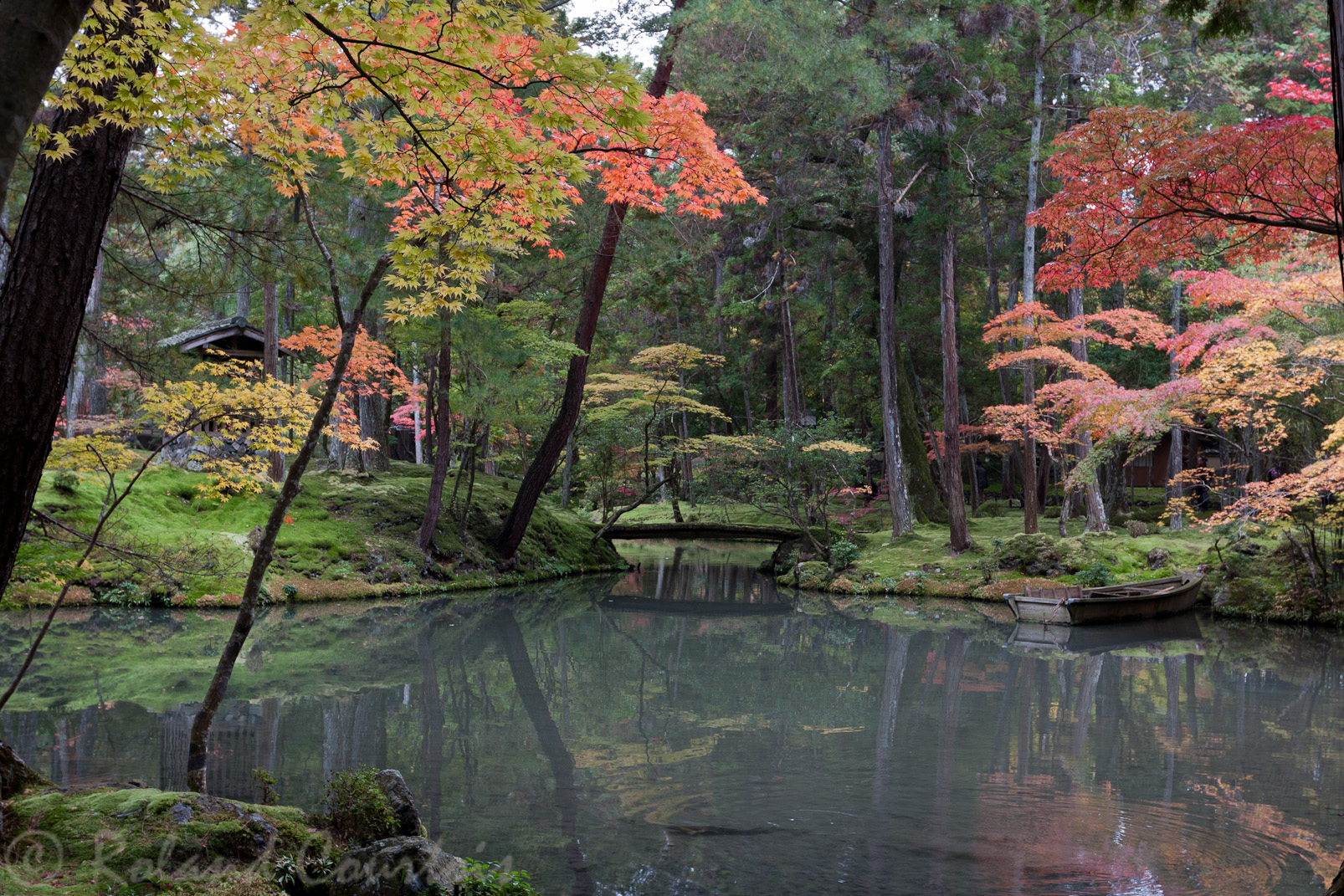 Jardin du temple des mousses, Saiho-ji.