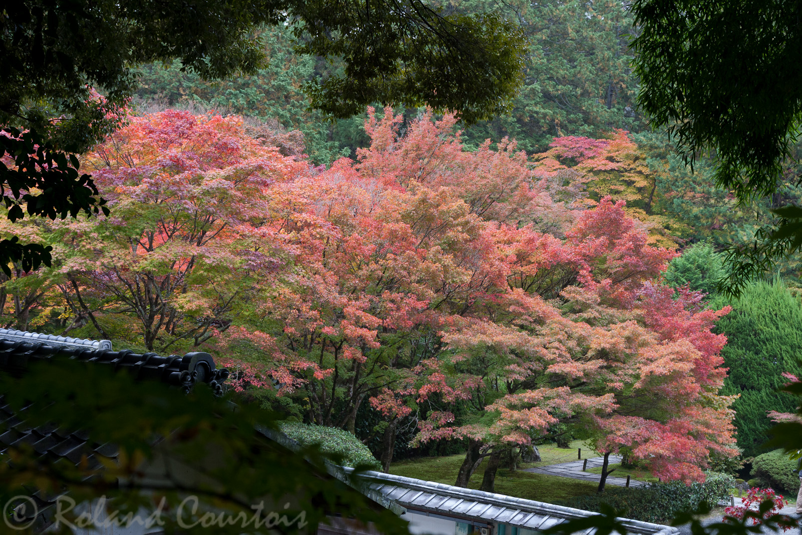 Jardin du temple des mousses, Saiho-ji.