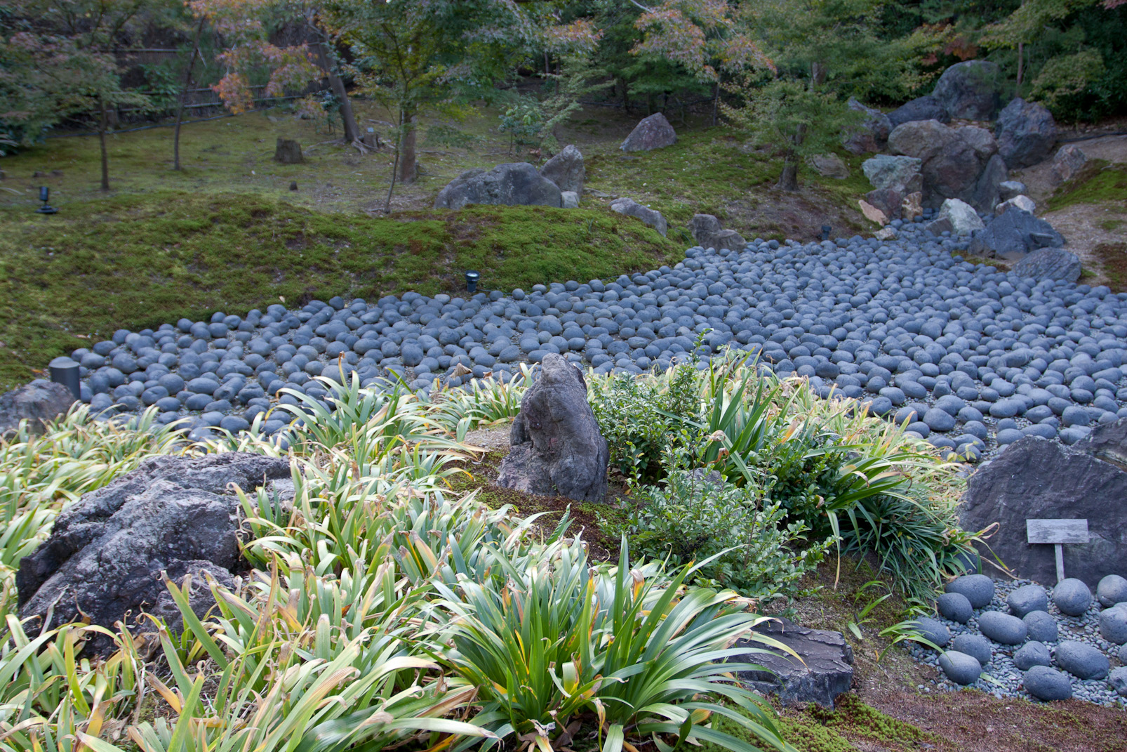 Jardin zen Hogon-in