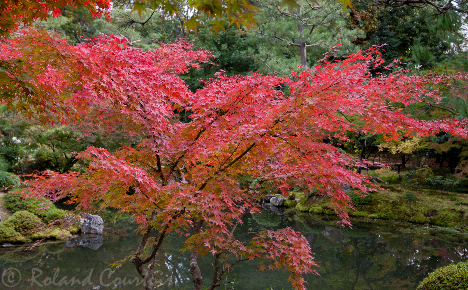 Temple Toji-in, jardin zen