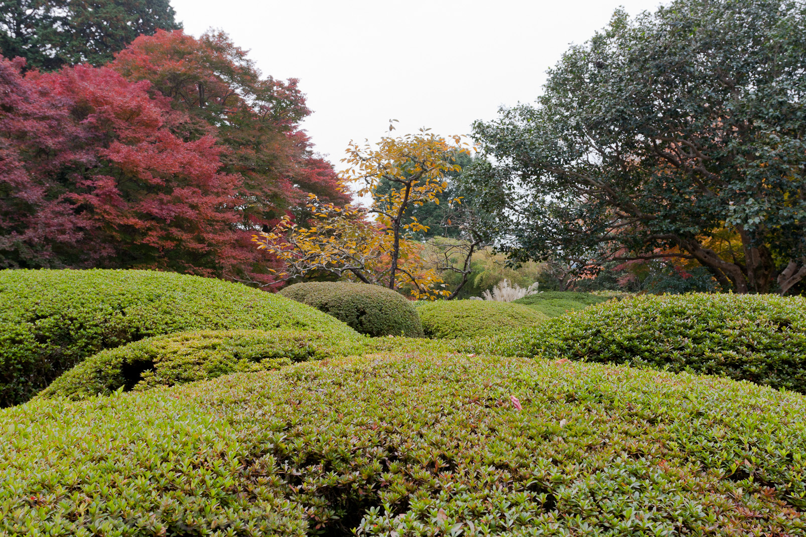 Jardin Shisen-dô