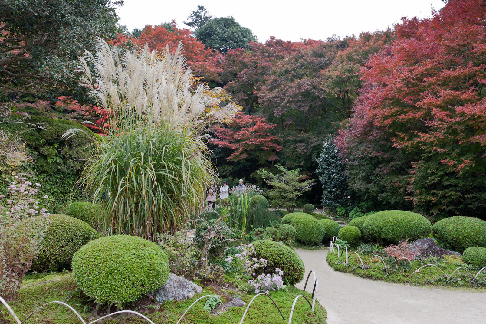 Jardin Shisen-dô