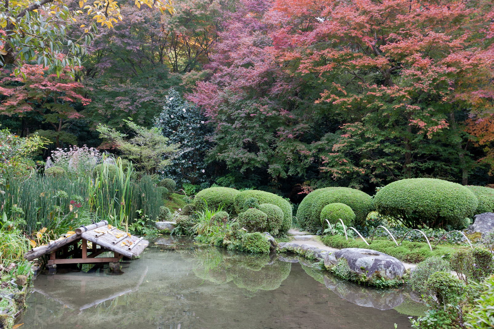 Jardin Shisen-dô