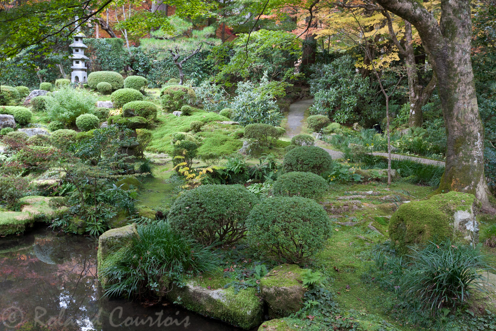 Ohara. Jardin du Sanzen-in