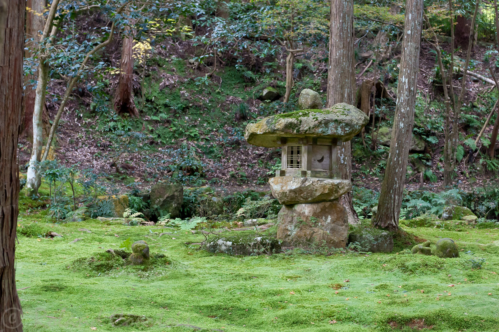 Ohara. Jardin du Sanzen-in