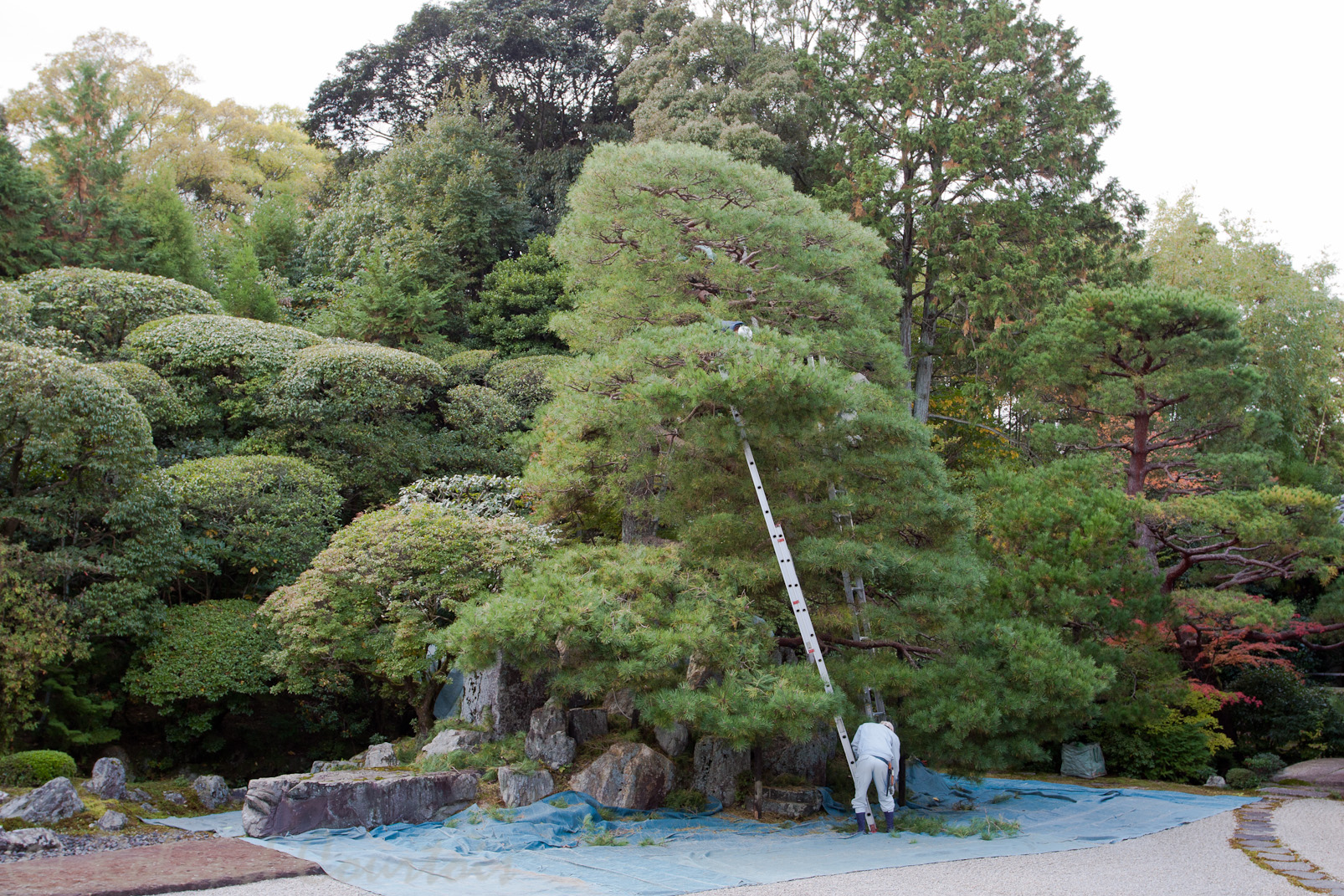 Jardin zen Konchi-in