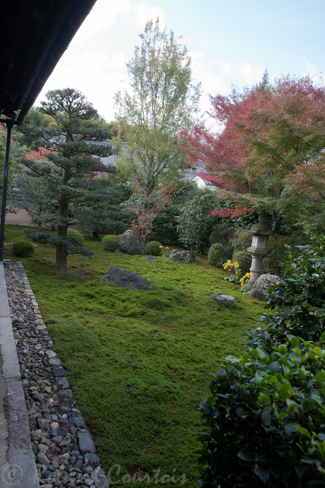 Jardin Tentoku-in du temple Tofuku-ji.