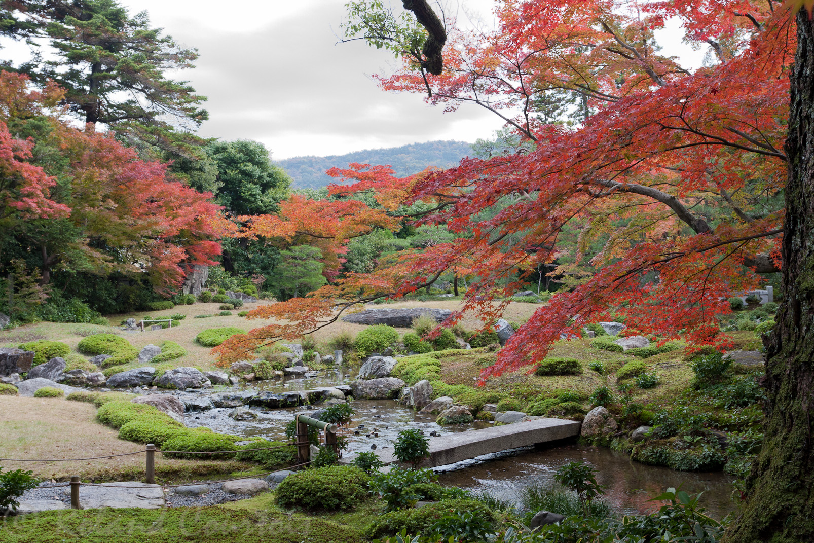 Jardin Murin-an, en automne.