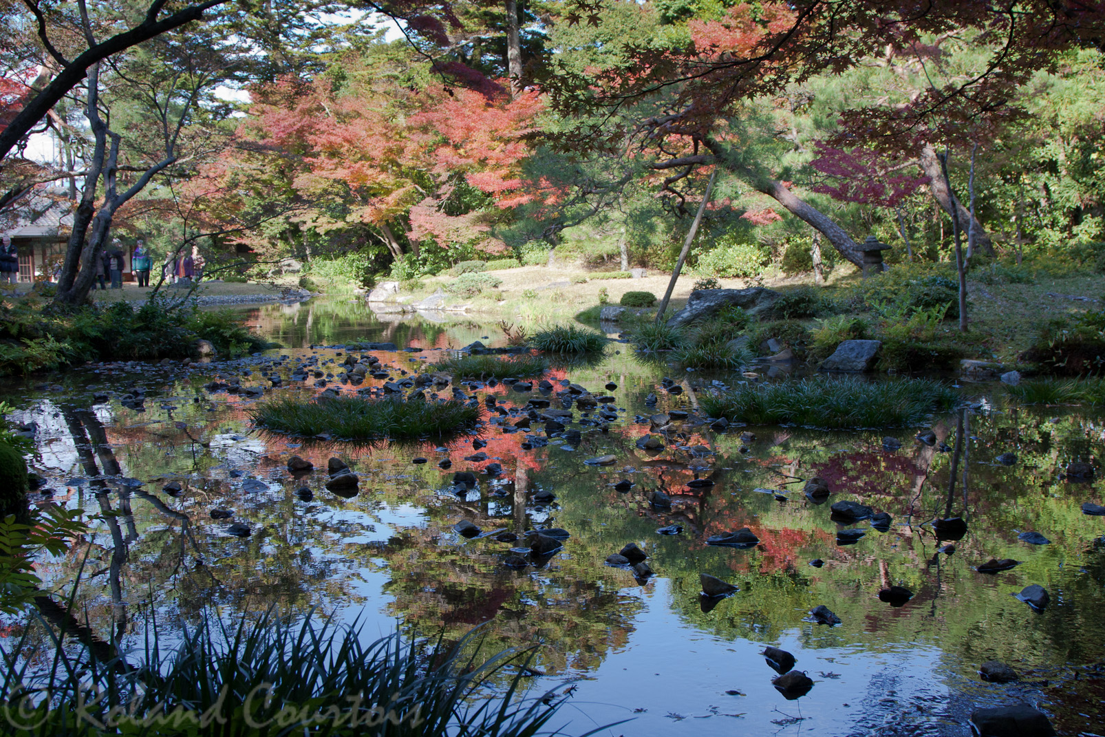 Jardin Murin-an, en automne.