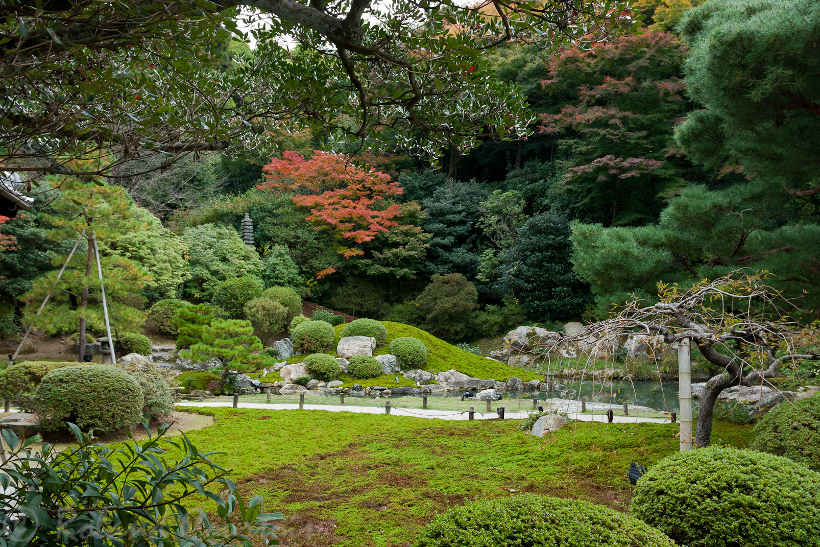 Jardin Shoren-in.