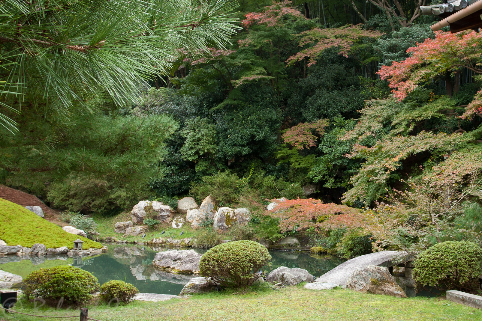 Jardin Shoren-in.