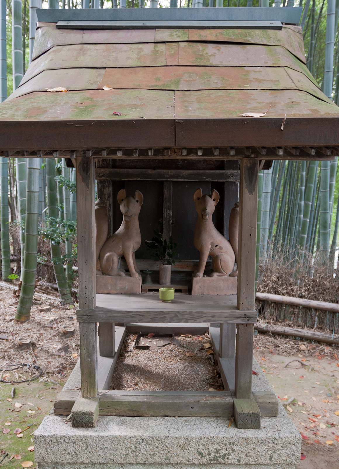 Jardin Shoren-in.