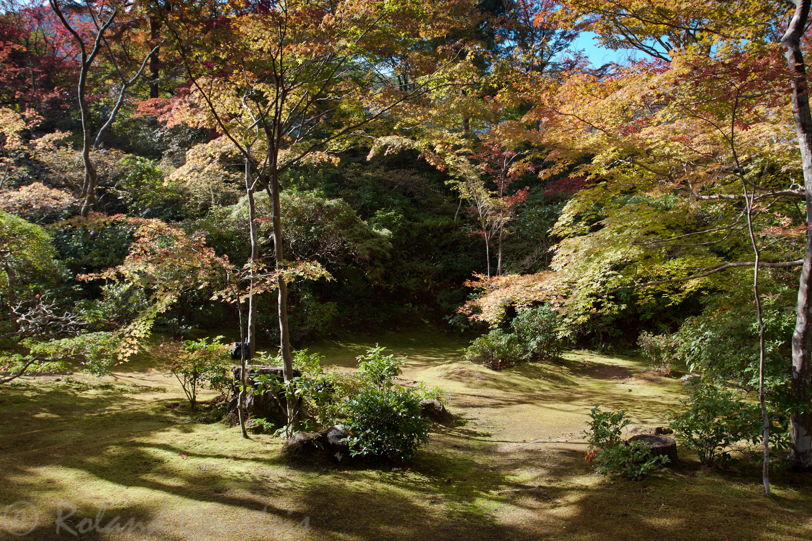 Sur les hauteurs de Kyoto, cette villa est entourée d'un très beau jardin. Une féérie automnale.