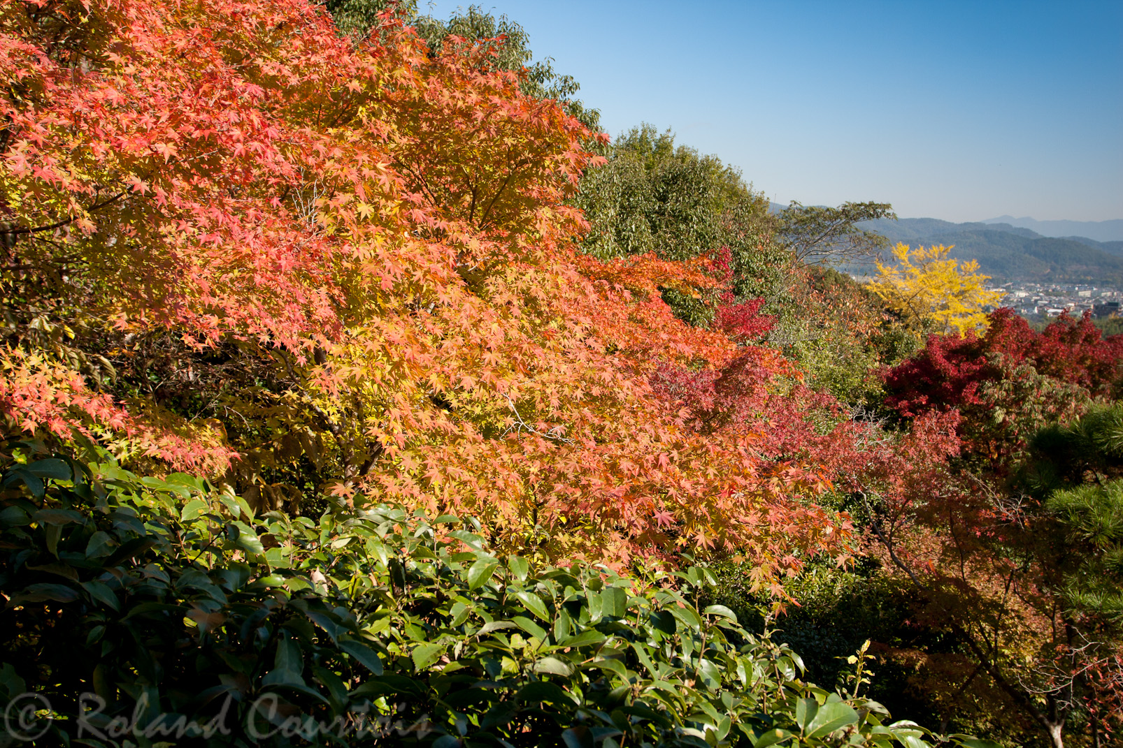 Sur les hauteurs de Kyoto, cette villa est entourée d'un très beau jardin. Une féérie automnale.