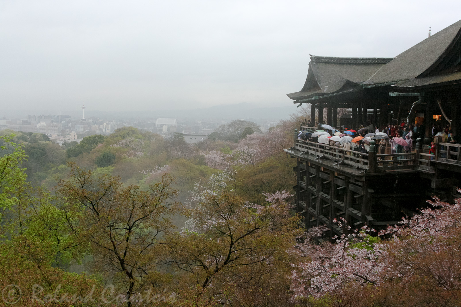 Temple Kiyomizu-dera, dominant Kyoto (au printemps sous la pluie)