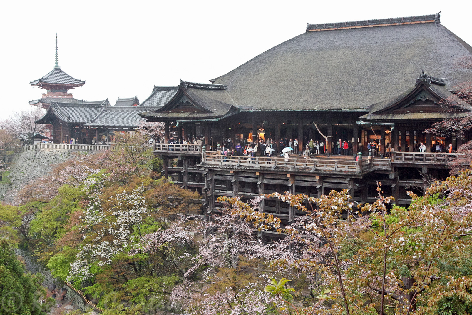 Temple Kiyomizu-dera, (au printemps sous la pluie).