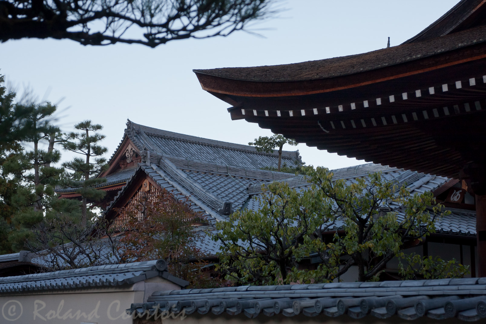 Temple Daitoku-ji, toiture du sous-temple Zuiho-in.