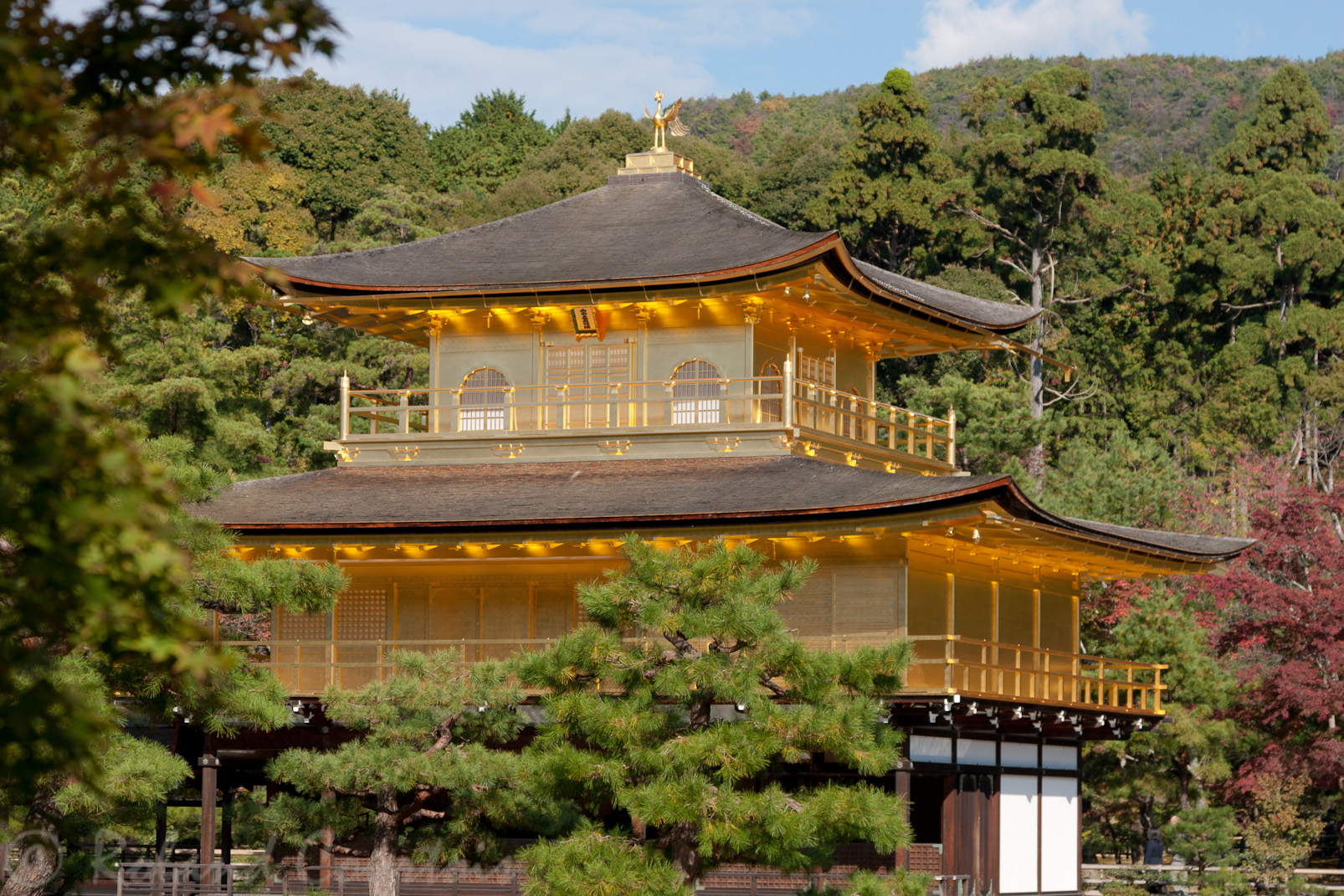 Kinkaku-ji, Pavillon d'or.