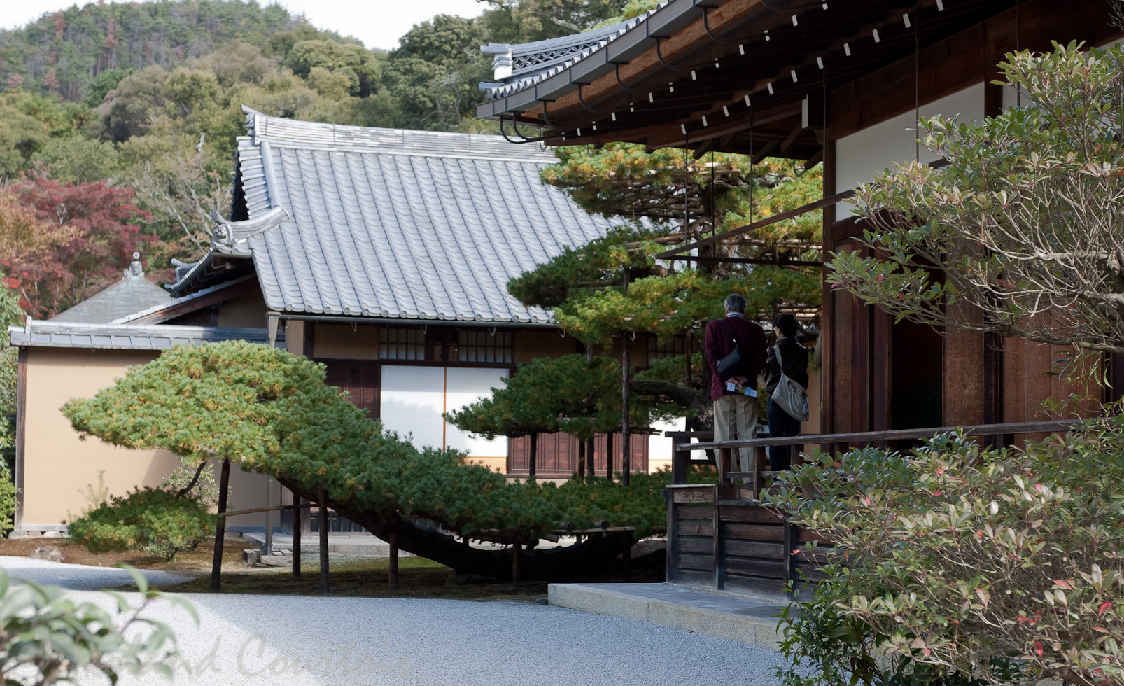 Kinkaku-ji, Pavillon d'or. dans les jardins.