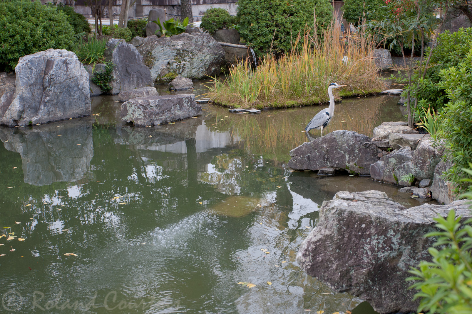 Temple Sansusangen-dô,  jardin zen.