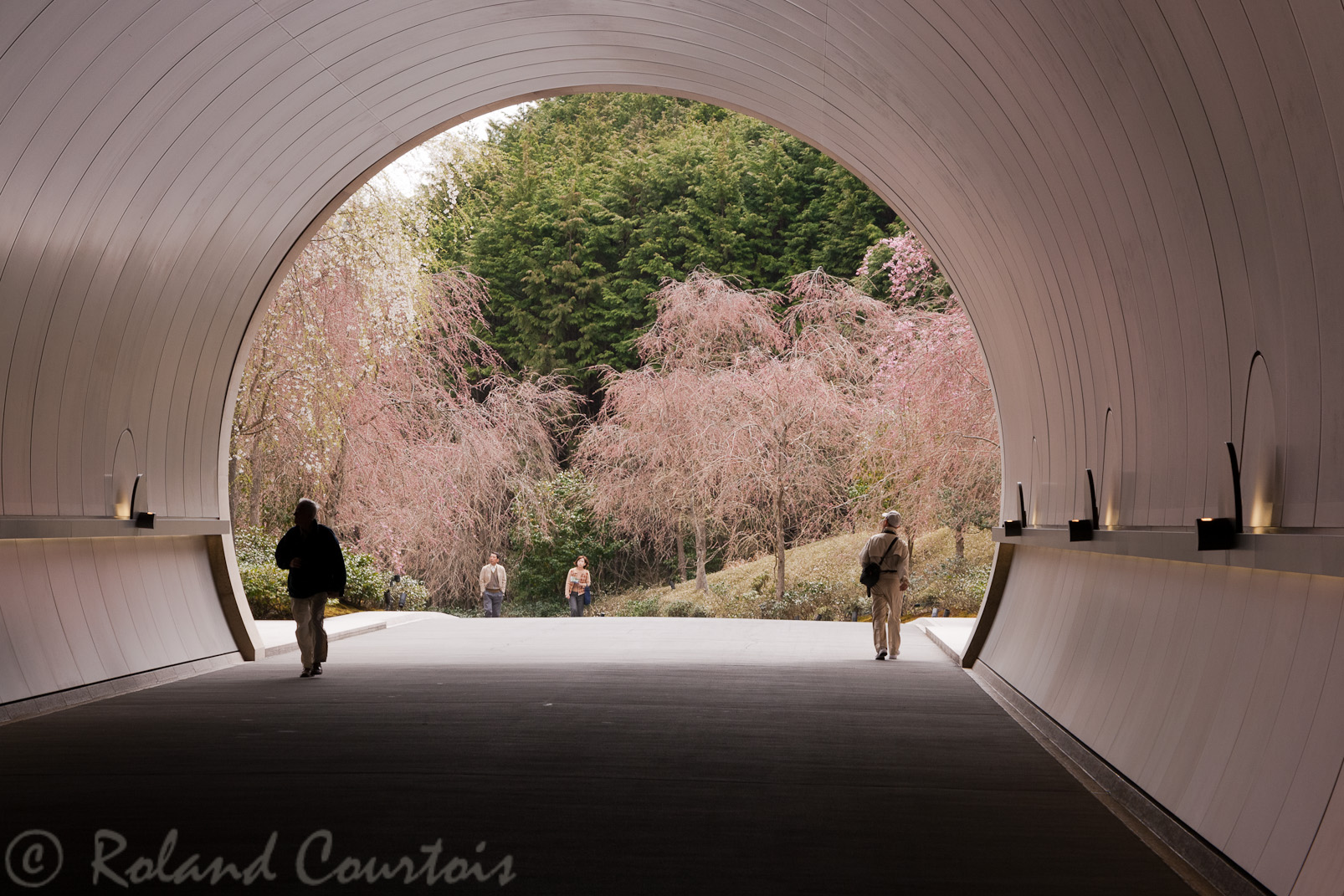 Musée Miho de la secte Shinji Shumeikai. Tunnel d'accès au printemps.