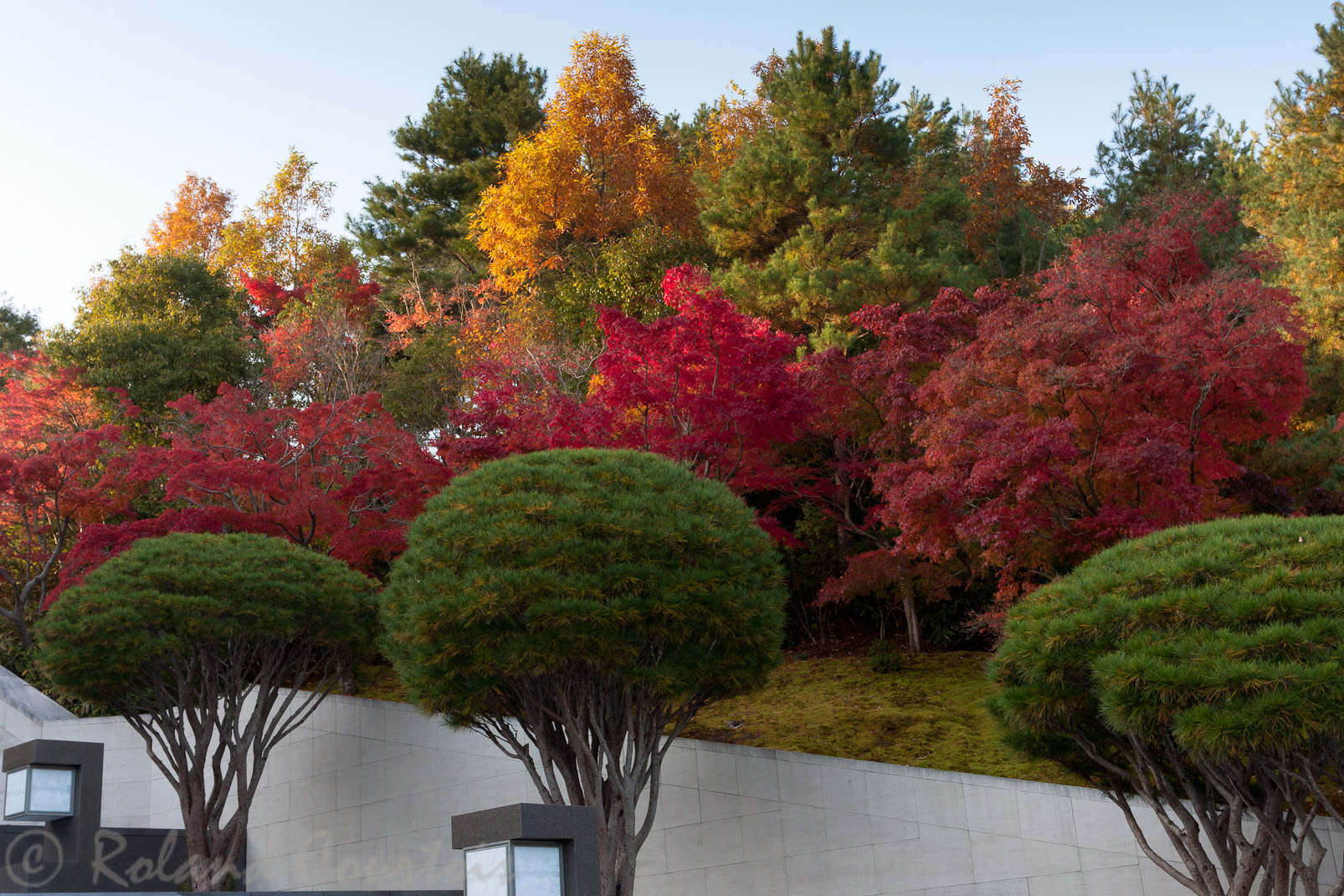 Musée Miho. Jardin en automne.