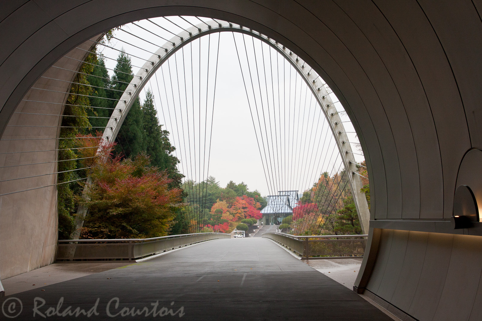 Musée Miho. Tunnel d'accès en automne.
