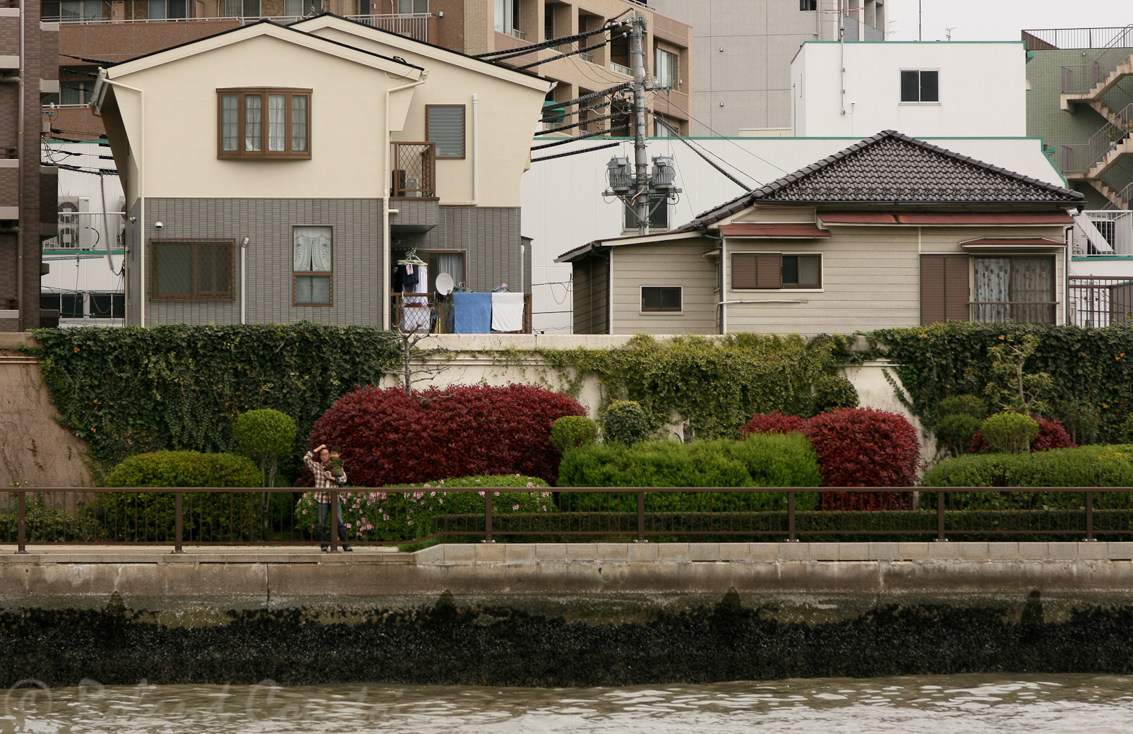 Habitat varié du quartier Sumida